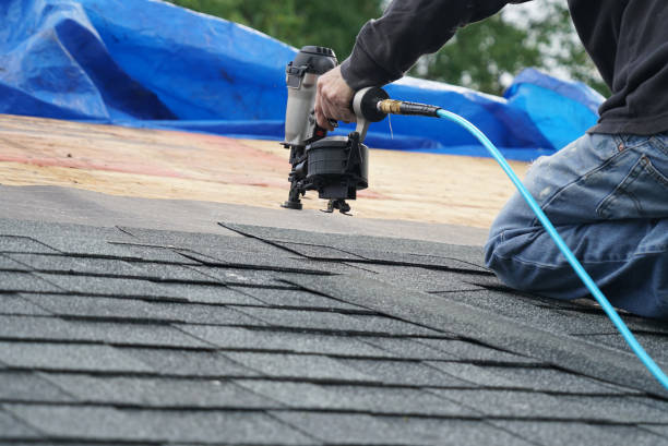 Best Shingle Roofing Installation  in Wesleyville, PA