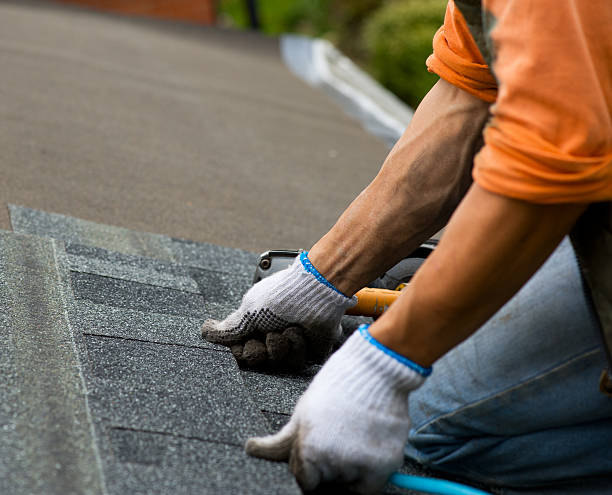 Quick and Trustworthy Emergency Roof Repair Services in Wesleyville, PA