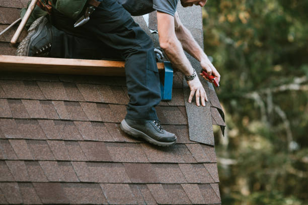 Best Local Roofing Companies  in Wesleyville, PA